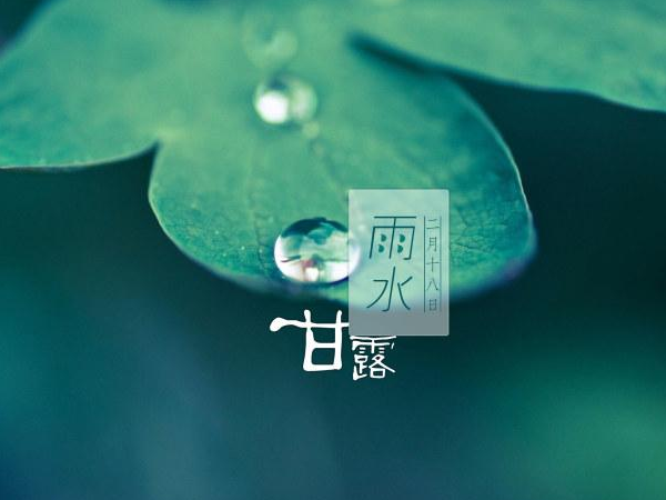 正月初七雨水时节全体员工正式上班